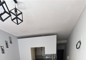 1355 Alvarado, Bahía Blanca, Buenos Aires, 8000, 1 Bedroom Bedrooms, 0 ,1 BathroomBathrooms,Departamento,Alquiler,Alvarado ,0,1995