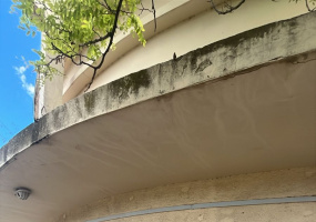 Avenida Lamadrid y Cerri, Bahía Blanca, Buenos Aires, 8000, 0 , 0 ,0,Local comercial,Alquiler,Avenida Lamadrid y Cerri,0,1999