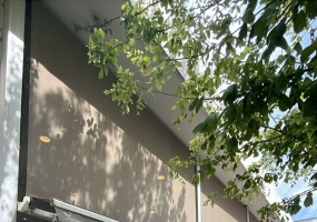 Brown esquina España, Bahía Blanca, Buenos Aires, 8000, 0 , 0 ,0,Local comercial,Venta,Brown esquina España,0,2000