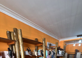 561 Zelarrayan, Bahia Blanca, Bahia Blanca, Buenos Aires, 8000, 0 , 0 ,1 BathroomBathrooms,Local comercial,Venta,Zelarrayan ,0,2005 561 Zelarrayan, Bahia Blanca, Bahia Blanca, Buenos Aires, 8000, 0 , 0 ,1 BathroomBathrooms,Local comercial,Venta,Zelarrayan ,0,2005