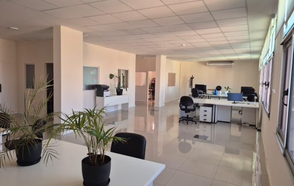 726 Estomba, Bahía Blanca, Buenos Aires, 8000, 0 , 0 ,2 BathroomsBathrooms,Oficina,Alquiler,Estomba ,10,2025 726 Estomba, Bahía Blanca, Buenos Aires, 8000, 0 , 0 ,2 BathroomsBathrooms,Oficina,Alquiler,Estomba ,10,2025