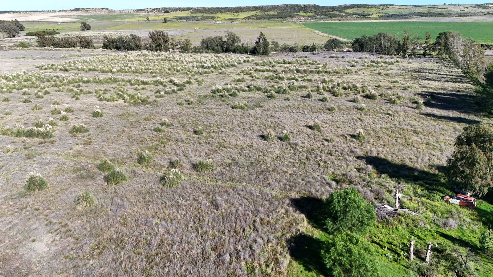 Nueva Roma, Tornquist, Tornquist, Buenos Aires, 0 , 0 ,0,Campo,Alquiler,Nueva Roma ,0,2033