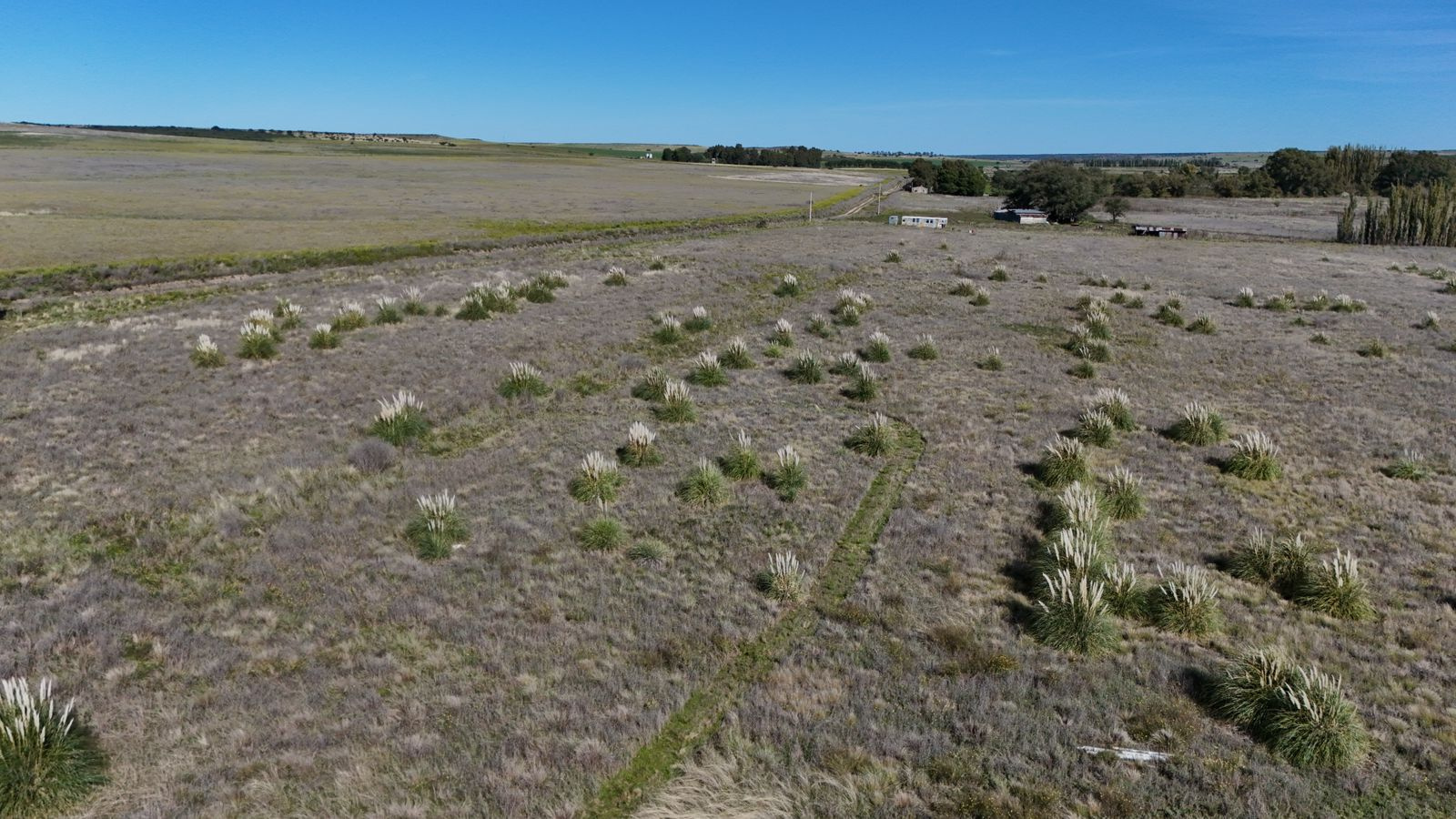Nueva Roma, Tornquist, Tornquist, Buenos Aires, 0 , 0 ,0,Campo,Alquiler,Nueva Roma ,0,2033