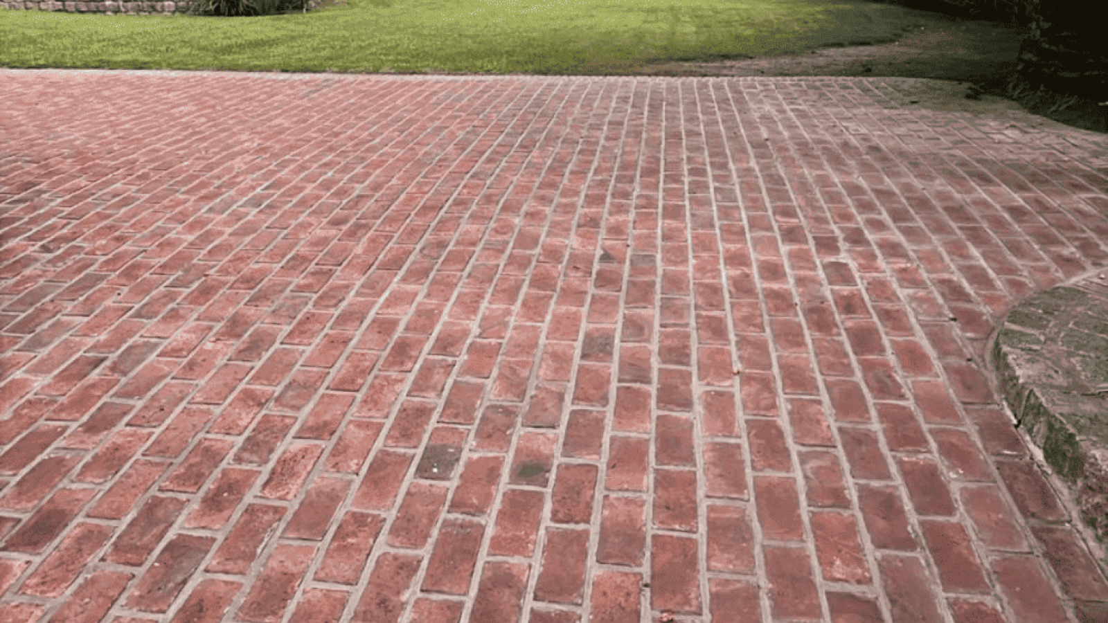 557 Payro, Bahia Blanca, Buenos Aires, 8000, 0 , 0 ,0,Terreno,Venta,Payro,0,2037