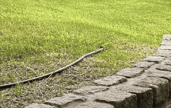 557 Payro, Bahia Blanca, Buenos Aires, 8000, 0 , 0 ,0,Terreno,Venta,Payro,0,2037