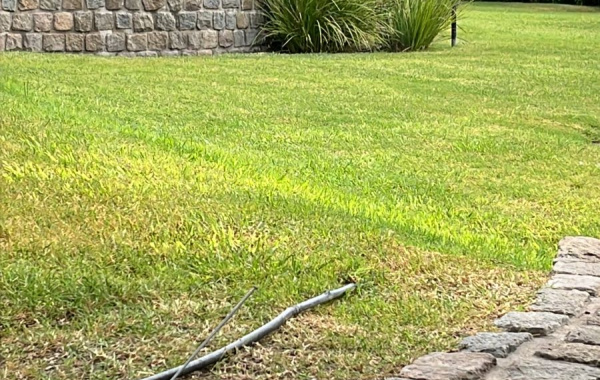 557 Payro, Bahia Blanca, Buenos Aires, 8000, 0 , 0 ,0,Terreno,Venta,Payro,0,2037