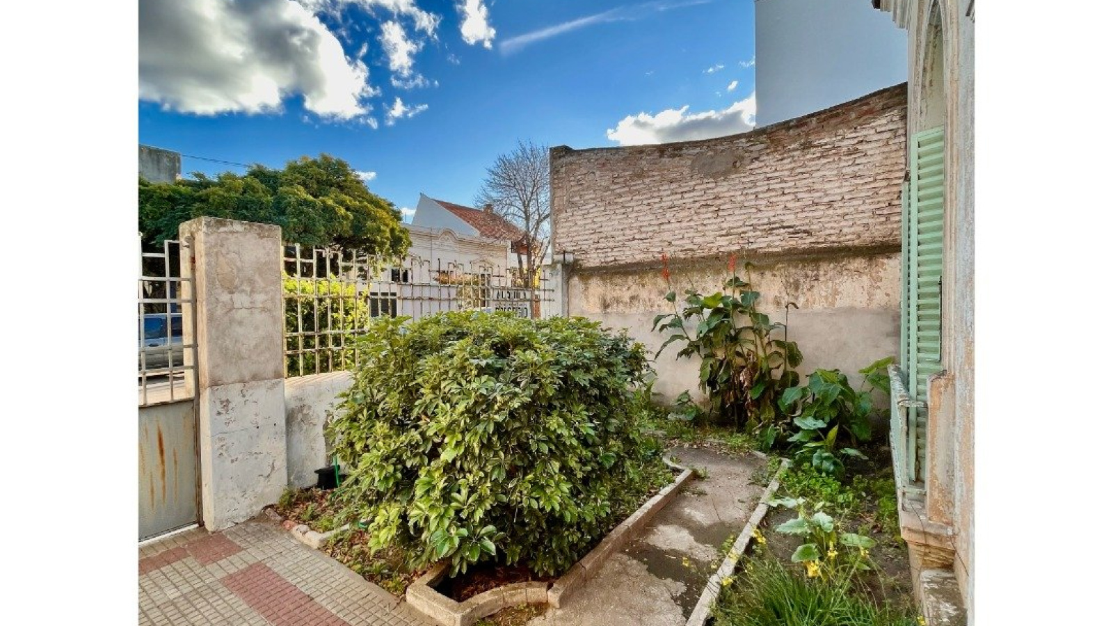 556 Darregueira, Bahía Blanca, Buenos Aires, 8000, 3 Bedrooms Bedrooms, 0 ,1 BathroomBathrooms,Casa,Venta,Darregueira ,0,1100