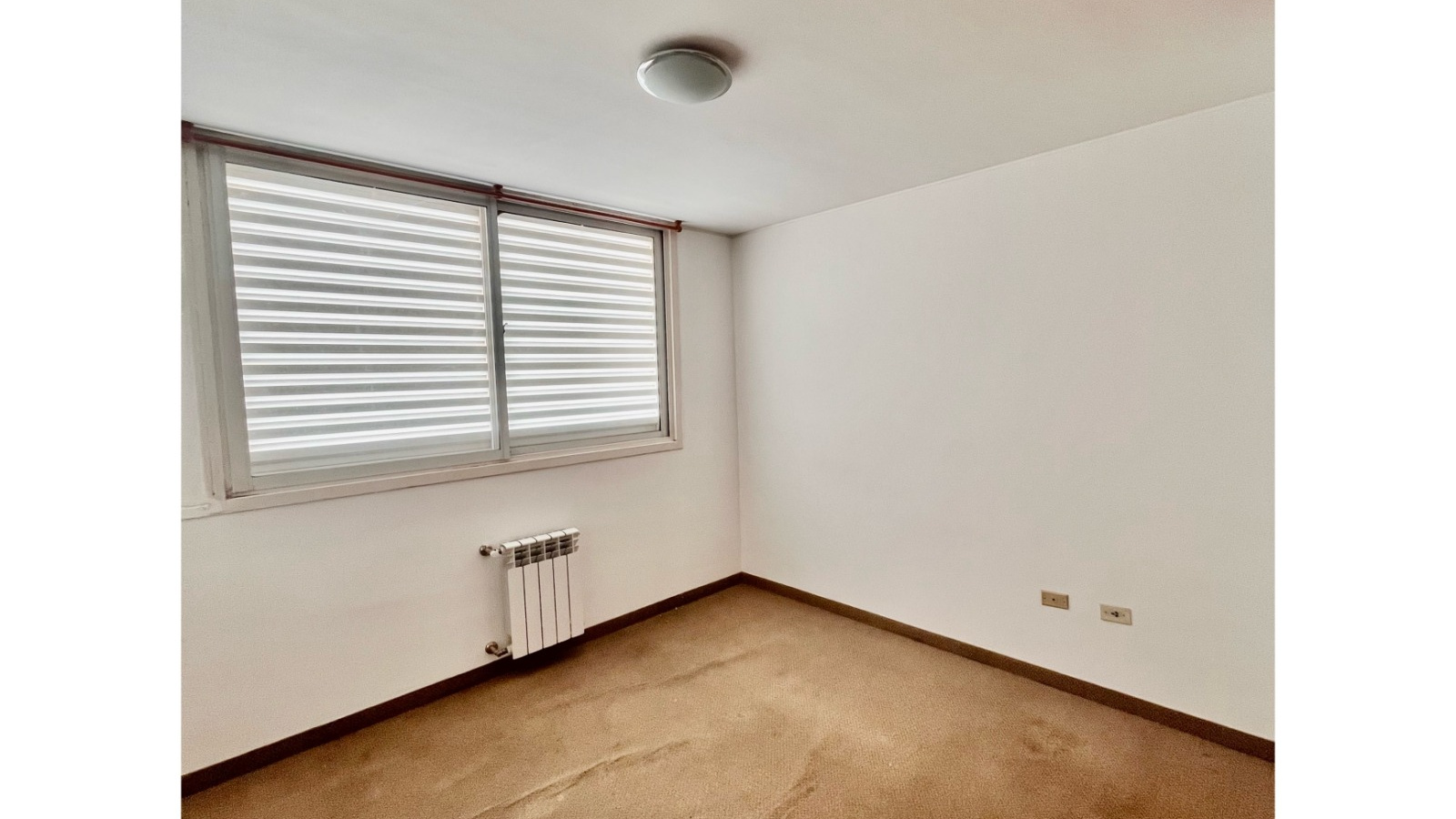267 Zelarrayan, Bahía Blanca, Buenos Aires, 8000, 2 Bedrooms Bedrooms, 0 ,2 BathroomsBathrooms,Departamento,Alquiler,Zelarrayan,0,2054