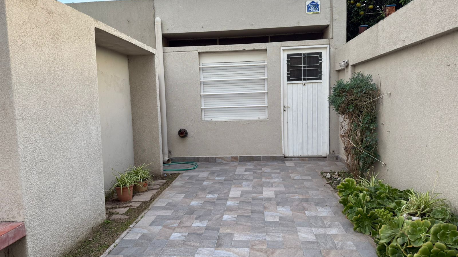 2317 Chacabuco, Bahía Blanca, Buenos Aires, 8000, 1 Bedroom Bedrooms, 2 Rooms Rooms,1 BathroomBathrooms,Departamento,Alquiler,Chacabuco ,0,2055