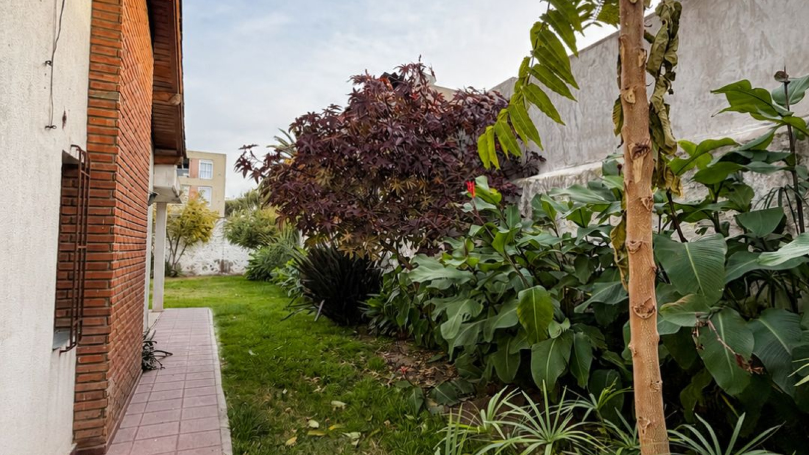 960 Nicaragua, bahia blanca, Buenos Aires, 3 Bedrooms Bedrooms, 5 Rooms Rooms,2 BathroomsBathrooms,Casa,Venta,Nicaragua,0,2078