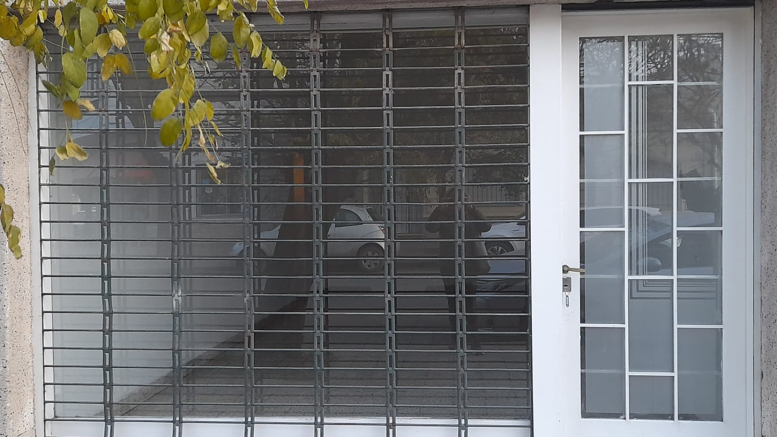 910 Viamonte, Bahia Blanca, Buenos Aires, 8000, 0 , 0 ,1 BathroomBathrooms,Local comercial,Alquiler,Viamonte,0,2122