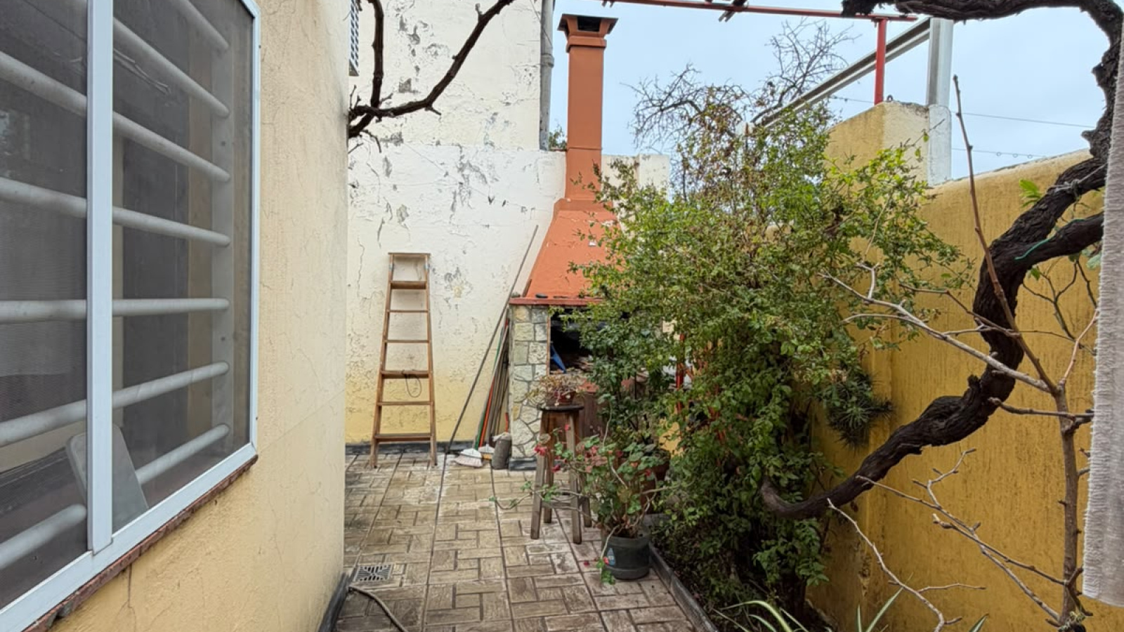 309 Pedro Pico, Bahía Blanca, Buenos Aires, 8000, 2 Bedrooms Bedrooms, 0 ,2 BathroomsBathrooms,Casa,Venta,Pedro Pico,0,2244