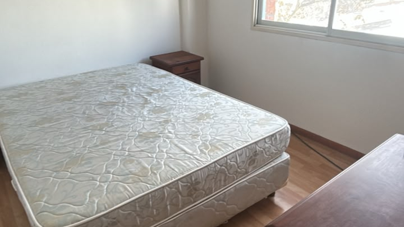 244 General Paz, Bahía Blanca, Buenos Aires, 8000, 1 Bedroom Bedrooms, 0 ,1 BathroomBathrooms,Departamento,Alquiler,General Paz,0,2309