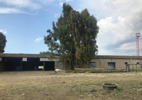 Ruta 3, Bahía Blanca, Buenos Aires, 8000, ,Galpon/Deposito,Venta,Ruta 3,1166