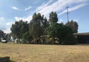 Ruta 3, Bahía Blanca, Buenos Aires, 8000, ,Galpon/Deposito,Venta,Ruta 3,1166