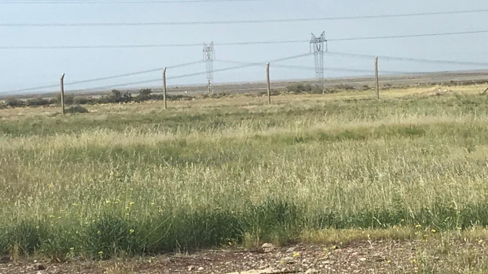 Ruta 3, Bahía Blanca, Buenos Aires, 8000, ,Galpon/Deposito,Venta,Ruta 3,1166