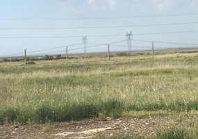 Ruta 3, Bahía Blanca, Buenos Aires, 8000, ,Galpon/Deposito,Venta,Ruta 3,1166