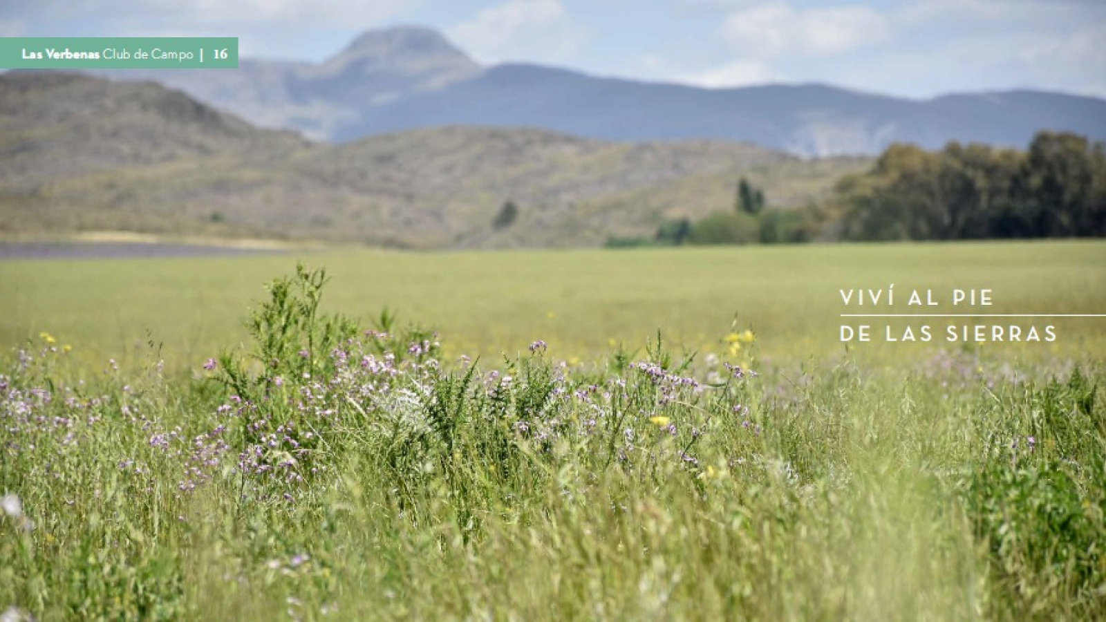 sierra de la ventana, Buenos Aires, 8168, ,Terreno,Venta,1195
