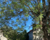 382 san martin, 8105, general daniel cerri, Buenos Aires, ,Terreno,Venta,san martin,1199