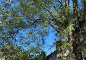 382 san martin, 8105, general daniel cerri, Buenos Aires, ,Terreno,Venta,san martin,1199