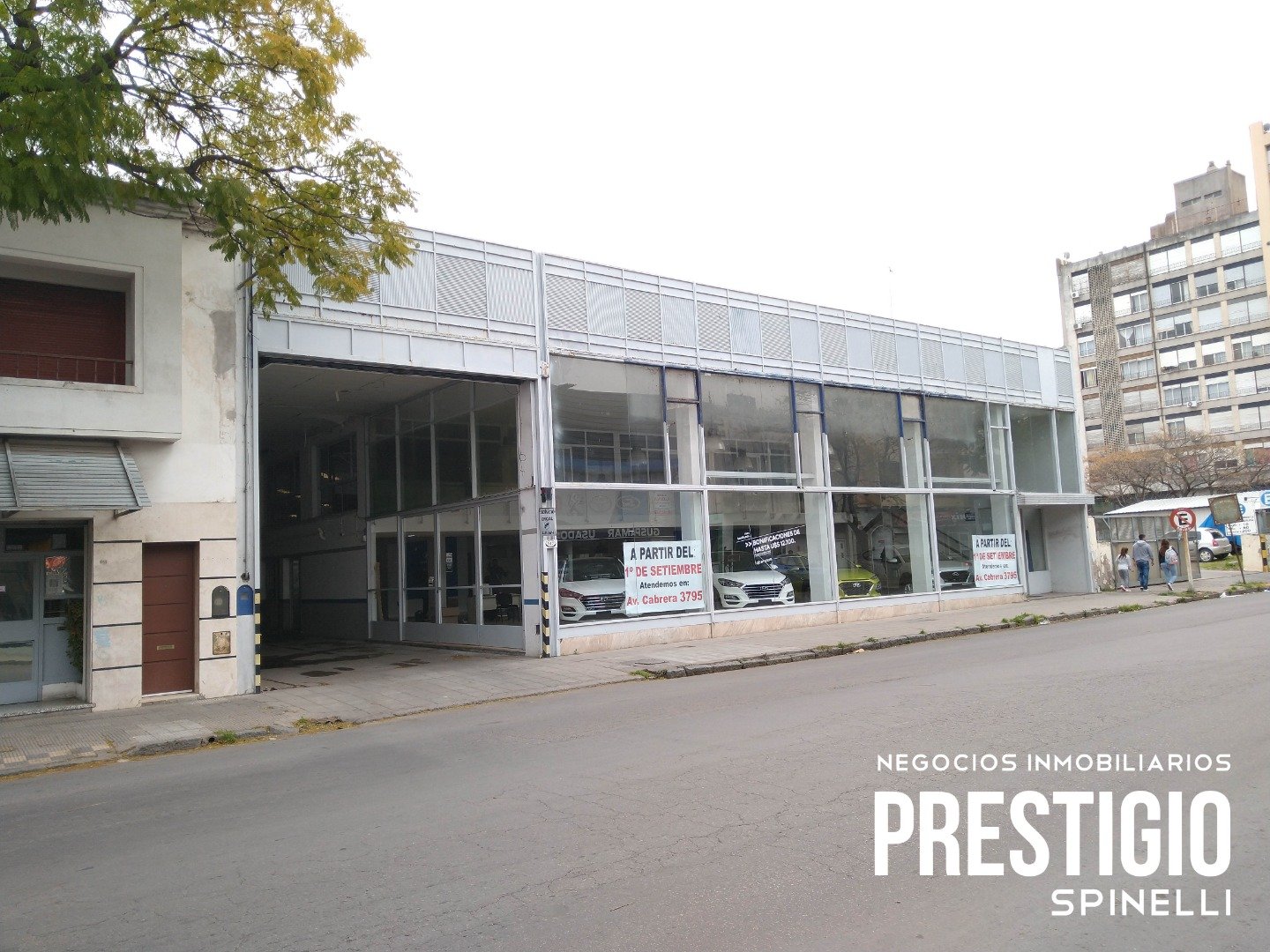 547 Brown, Bahía Blanca, Buenos Aires, 8000, ,Local comercial,Venta,Brown,1211