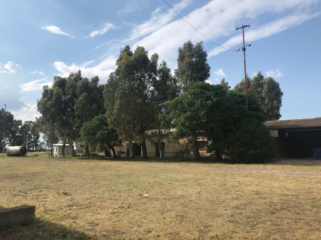 bahia blanca, Bahía Blanca, Buenos Aires, 8000, ,Terreno,Venta,1212