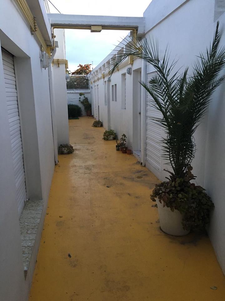 529 Humberto Primo, Bahía Blanca, Buenos Aires, 8000, ,Casa,Venta,Humberto Primo,1215