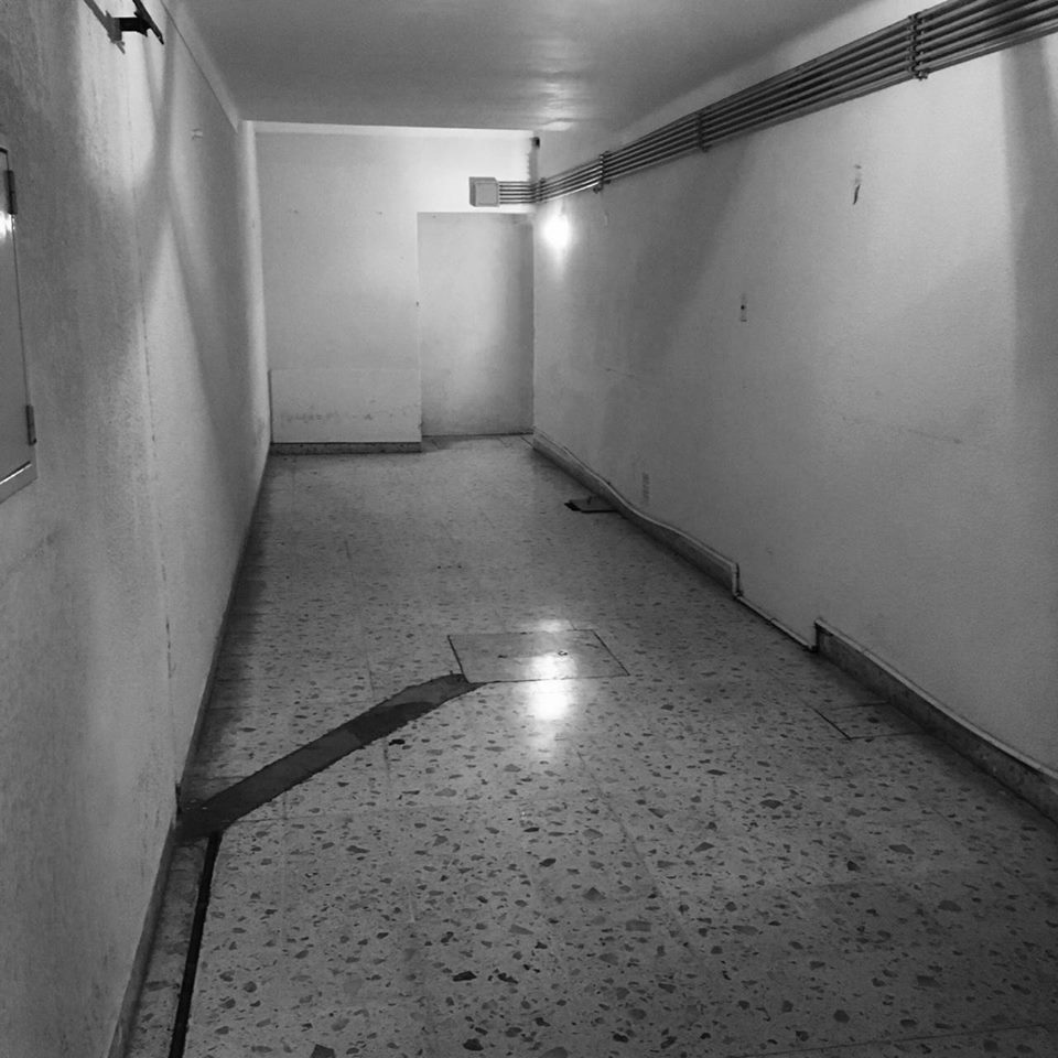 529 Humberto Primo, Bahía Blanca, Buenos Aires, 8000, ,Casa,Venta,Humberto Primo,1215
