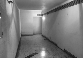 529 Humberto Primo, Bahía Blanca, Buenos Aires, 8000, ,Casa,Venta,Humberto Primo,1215
