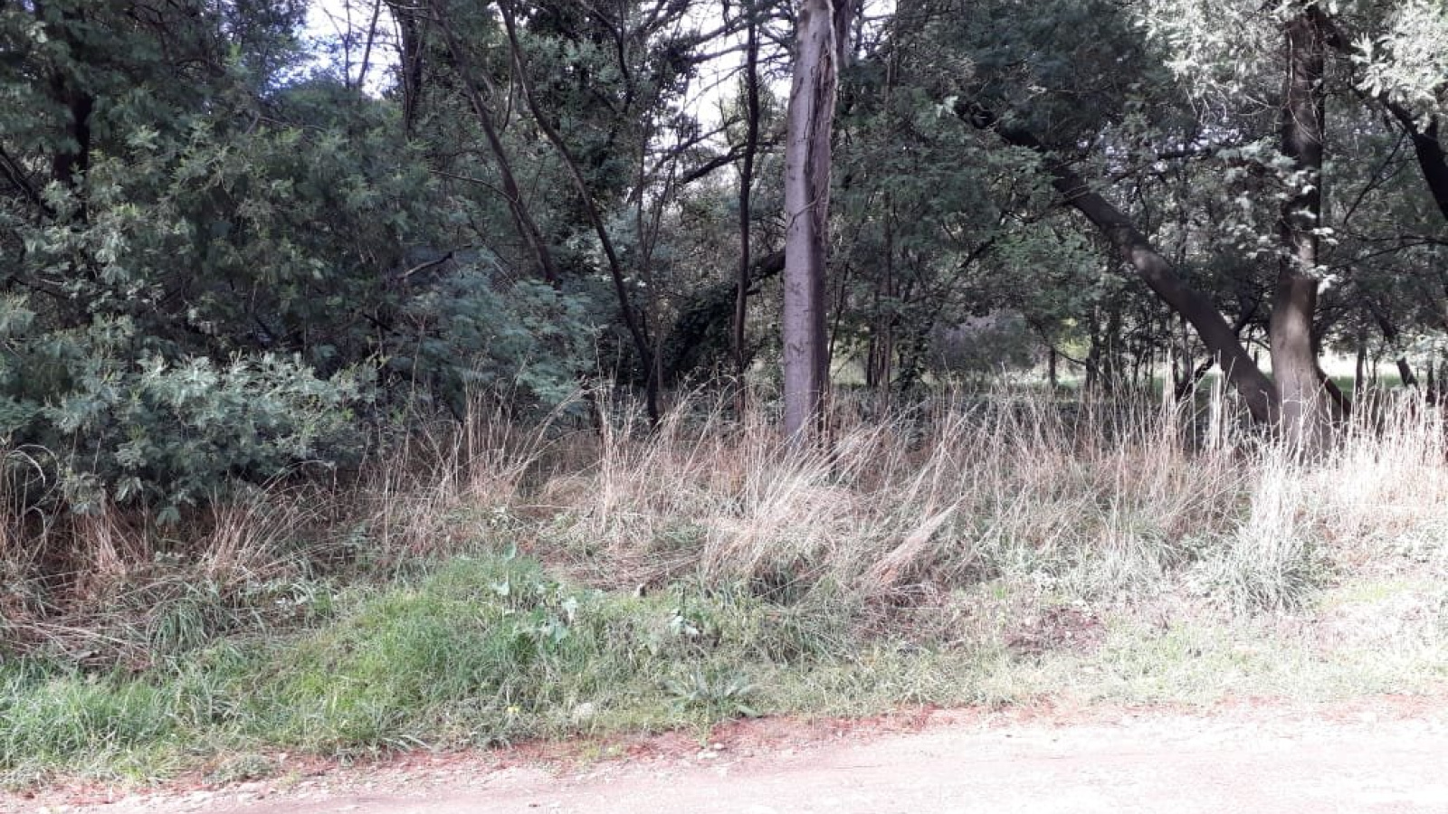 curamalal, villa ventana, villa ventana, Buenos Aires, 8160, ,Terreno,Venta,curamalal,1217