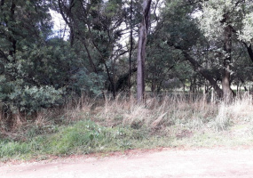 curamalal, villa ventana, villa ventana, Buenos Aires, 8160, ,Terreno,Venta,curamalal,1217