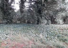 curamalal, villa ventana, villa ventana, Buenos Aires, 8160, ,Terreno,Venta,curamalal,1217
