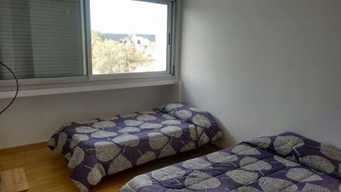 638 Avenida Costanera, monte hermoso, Buenos Aires, 3 Bedrooms Bedrooms, ,2 BathroomsBathrooms,Departamento,Venta,Avenida Costanera,1255