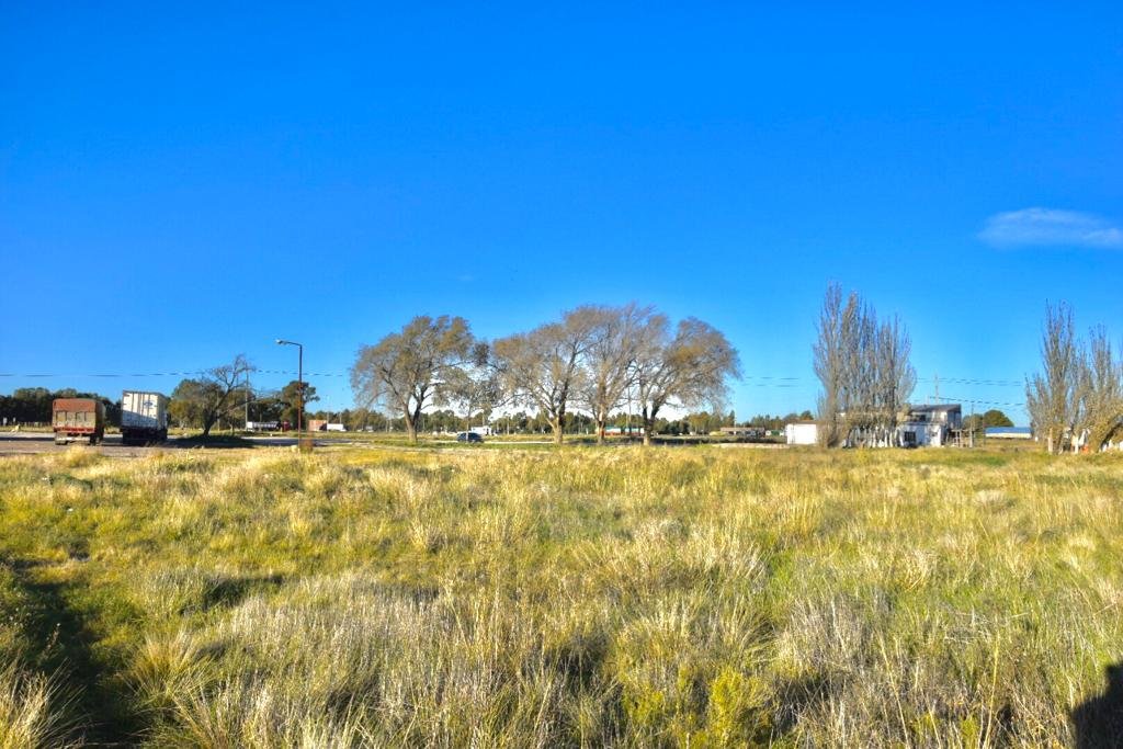 33 ruta nacional, Bahía Blanca, Buenos Aires, 8000, ,Terreno,Venta,ruta nacional,1281