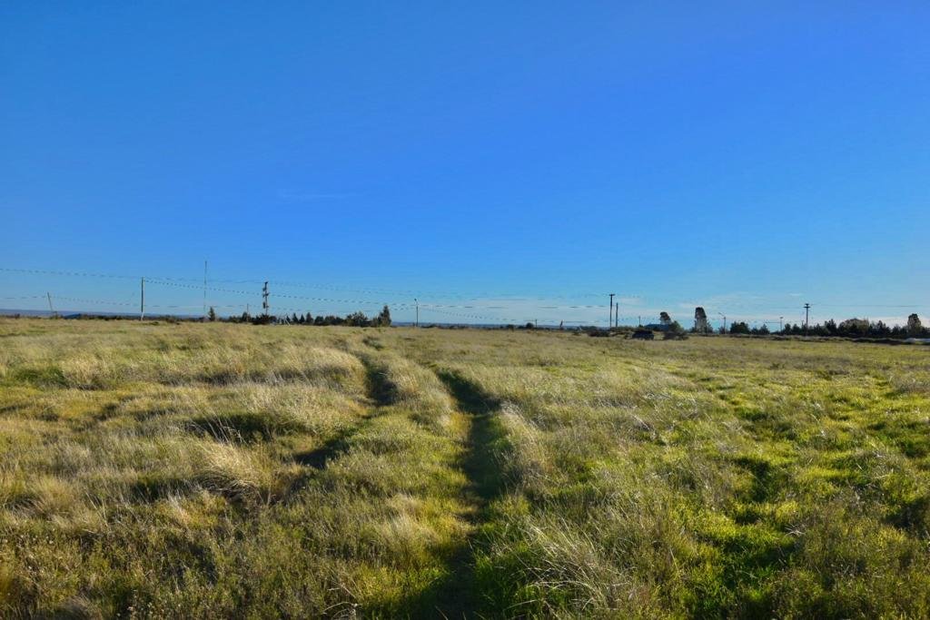 33 ruta nacional, Bahía Blanca, Buenos Aires, 8000, ,Terreno,Venta,ruta nacional,1281
