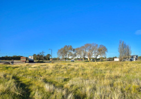 33 ruta nacional, Bahía Blanca, Buenos Aires, 8000, ,Terreno,Venta,ruta nacional,1281