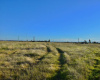 33 ruta nacional, Bahía Blanca, Buenos Aires, 8000, ,Terreno,Venta,ruta nacional,1281