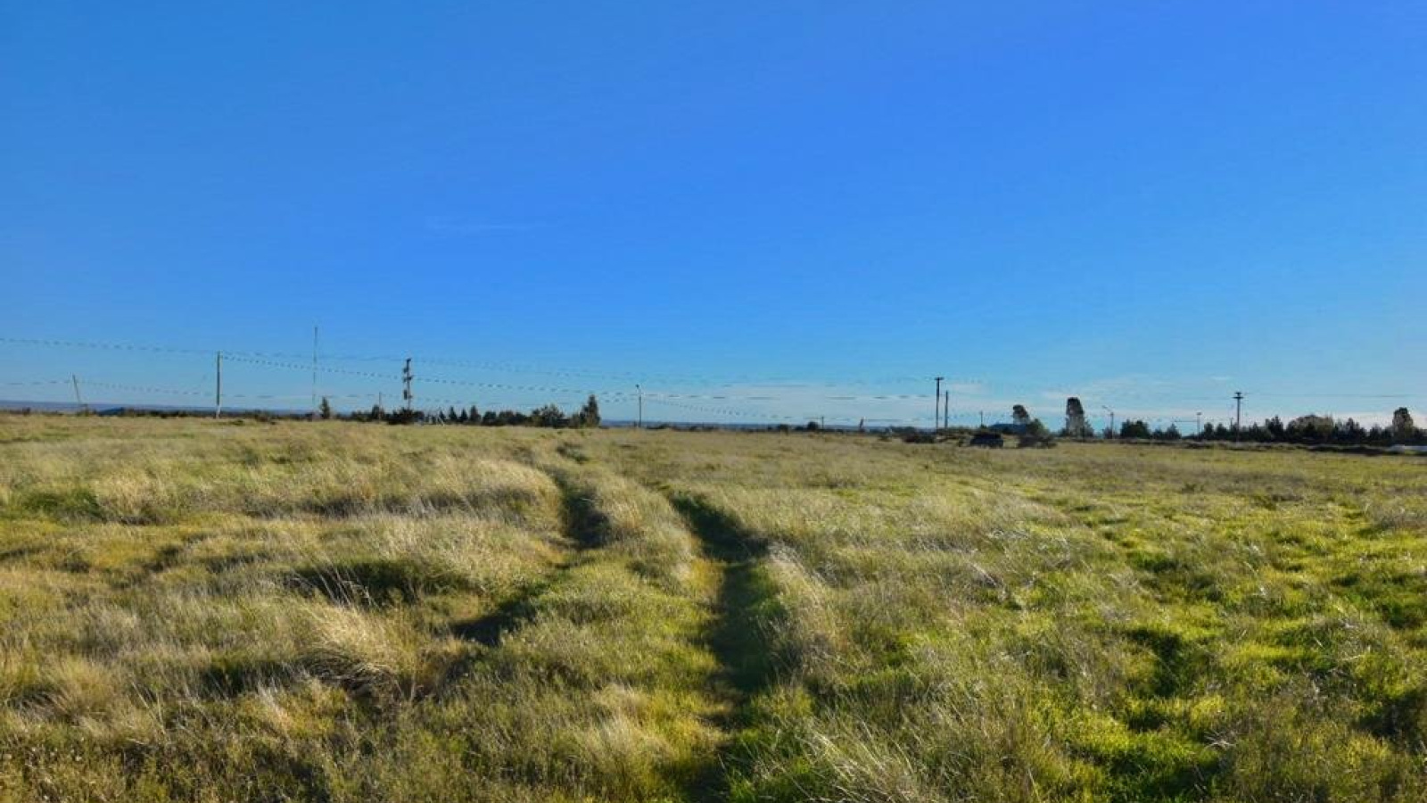 33 ruta nacional, Bahía Blanca, Buenos Aires, 8000, ,Terreno,Venta,ruta nacional,1281