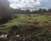 1300 thompson, Bahía Blanca, Buenos Aires, 8000, ,Terreno,Venta,thompson,1285