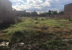1300 thompson, Bahía Blanca, Buenos Aires, 8000, ,Terreno,Venta,thompson,1285