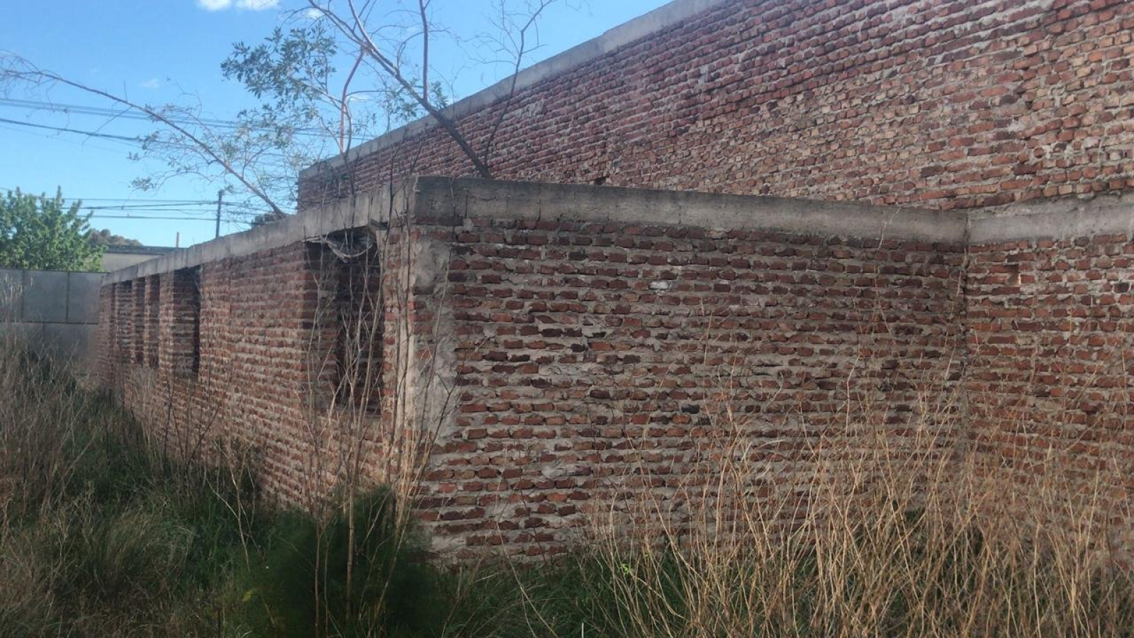 1300 thompson, Bahía Blanca, Buenos Aires, 8000, ,Terreno,Venta,thompson,1285