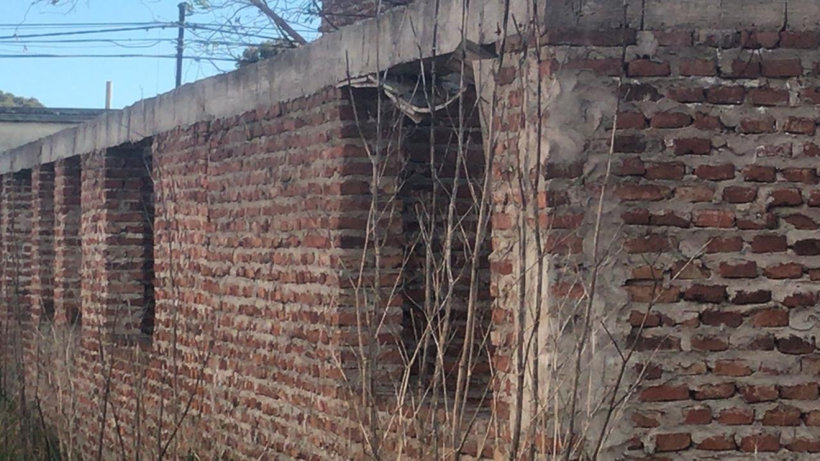 1300 thompson, Bahía Blanca, Buenos Aires, 8000, ,Terreno,Venta,thompson,1285