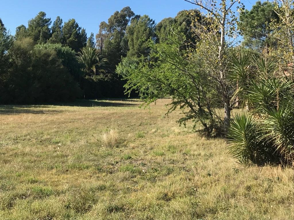 ramon y cajal, Bahía Blanca, Buenos Aires, 8000, ,Terreno,Venta,ramon y cajal,1289