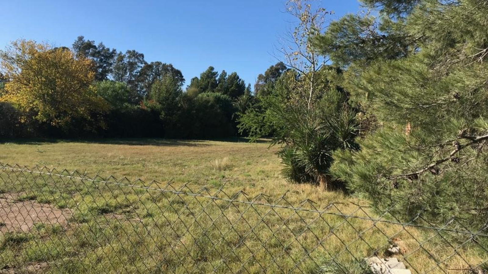 ramon y cajal, Bahía Blanca, Buenos Aires, 8000, ,Terreno,Venta,ramon y cajal,1289