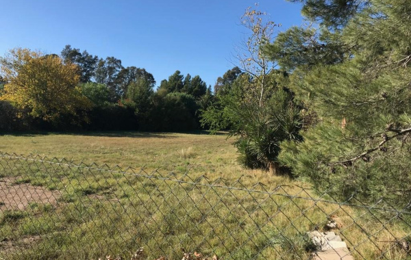 ramon y cajal, Bahía Blanca, Buenos Aires, 8000, ,Terreno,Venta,ramon y cajal,1289