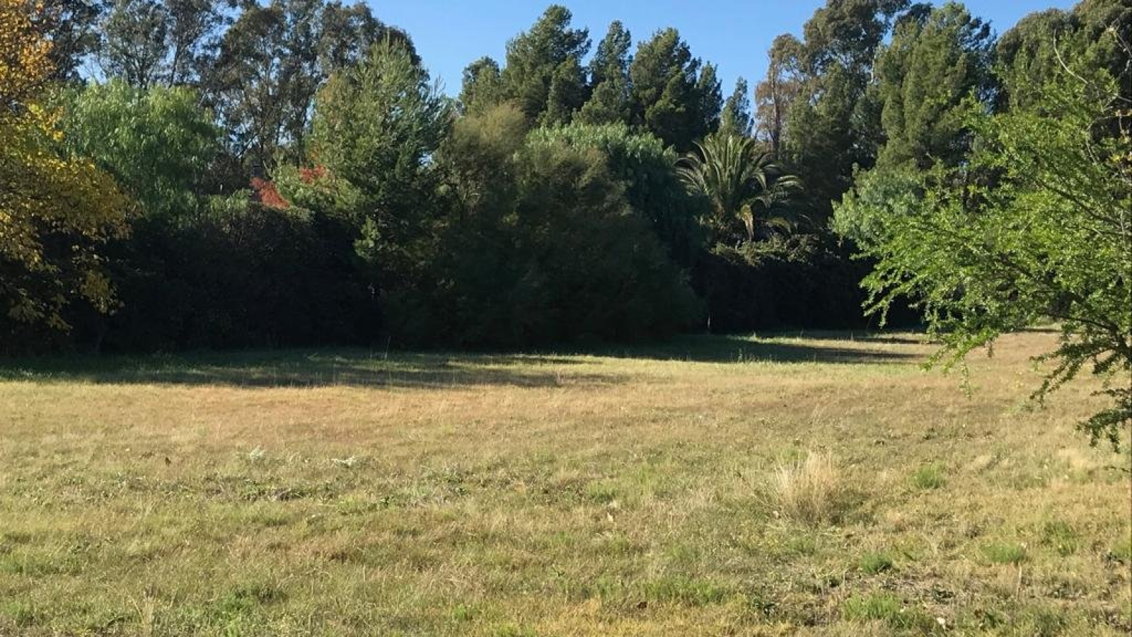 ramon y cajal, Bahía Blanca, Buenos Aires, 8000, ,Terreno,Venta,ramon y cajal,1289