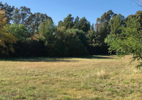 ramon y cajal, Bahía Blanca, Buenos Aires, 8000, ,Terreno,Venta,ramon y cajal,1289
