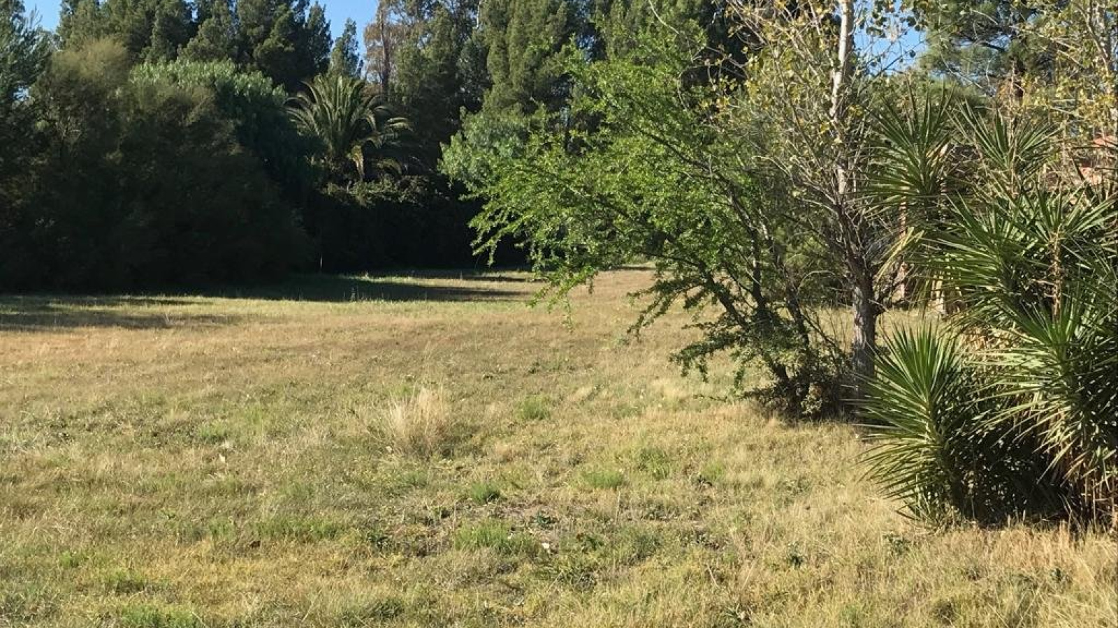 ramon y cajal, Bahía Blanca, Buenos Aires, 8000, ,Terreno,Venta,ramon y cajal,1289