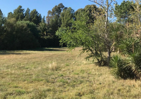 ramon y cajal, Bahía Blanca, Buenos Aires, 8000, ,Terreno,Venta,ramon y cajal,1289