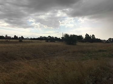 200 jorge newbery, Bahía Blanca, Buenos Aires, 8000, ,Terreno,Venta,jorge newbery,1293